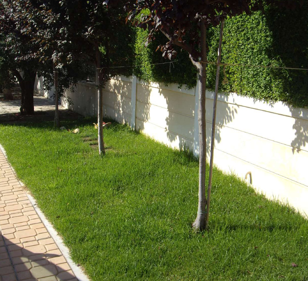 muronos_ilioupoli_11